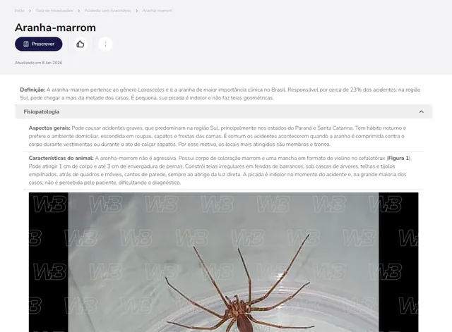 Tela de Guia de Intoxicações no Whitebook web: Aranha-marrom